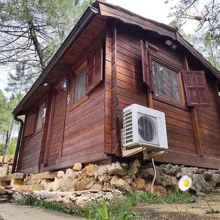 Cabana Los Chorros Riópar Esterno foto