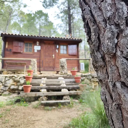 Cabana Los Chorros Riópar Esterno foto